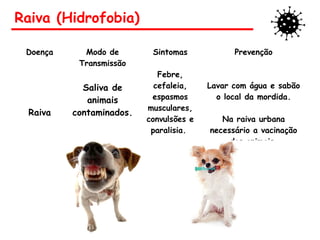Raiva (Hidrofobia)
Doença Modo de
Transmissão
Sintomas Prevenção
Raiva
Saliva de
animais
contaminados.
Febre,
cefaleia,
espasmos
musculares,
convulsões e
paralisia.
Lavar com água e sabão
o local da mordida.
Na raiva urbana
necessário a vacinação
dos animais.
 