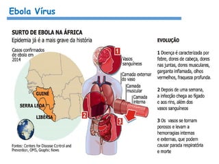 Ebola Vírus
 