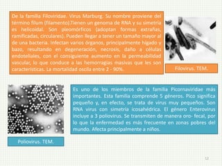 Virología básica.