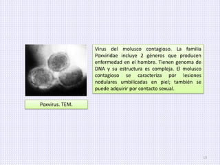Virología básica.