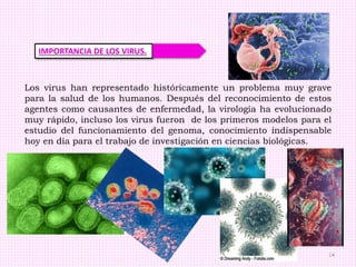Virología básica.