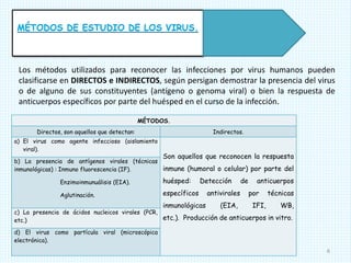 Virología básica.