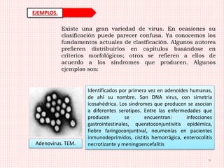 Virología básica.