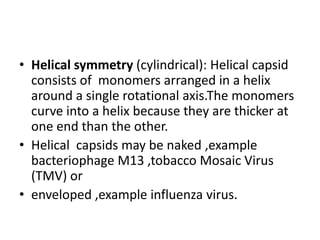 • Helical symmetry (cylindrical): Helical capsid
  consists of monomers arranged in a helix
  around a single rotational axis.The monomers
  curve into a helix because they are thicker at
  one end than the other.
• Helical capsids may be naked ,example
  bacteriophage M13 ,tobacco Mosaic Virus
  (TMV) or
• enveloped ,example influenza virus.
 