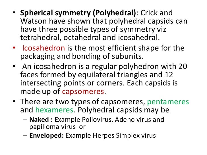 Virology research topics picture