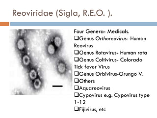 Virology Lecture Note | PPTX