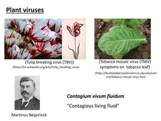 Virus resistant transgenic plants | PPTX
