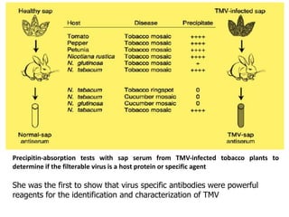 Filterable Virus History of Plant virology | PPTX