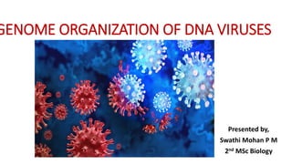 GENOME ORGANIZATION OF DNA VIRUSES
Presented by,
Swathi Mohan P M
2nd MSc Biology
 