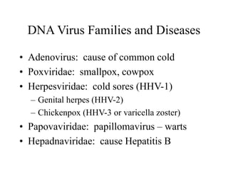 DNA Virus Families and Diseases
• Adenovirus: cause of common cold
• Poxviridae: smallpox, cowpox
• Herpesviridae: cold sores (HHV-1)
– Genital herpes (HHV-2)
– Chickenpox (HHV-3 or varicella zoster)
• Papovaviridae: papillomavirus – warts
• Hepadnaviridae: cause Hepatitis B
 