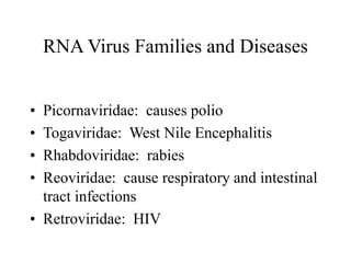 RNA Virus Families and Diseases
• Picornaviridae: causes polio
• Togaviridae: West Nile Encephalitis
• Rhabdoviridae: rabies
• Reoviridae: cause respiratory and intestinal
tract infections
• Retroviridae: HIV
 