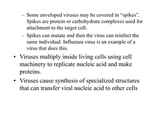 – Some enveloped viruses may be covered in “spikes”.
Spikes are protein or carbohydrate complexes used for
attachment to the target cell.
– Spikes can mutate and then the virus can reinfect the
same individual. Influenza virus is an example of a
virus that does this.
• Viruses multiply inside living cells using cell
machinery to replicate nucleic acid and make
proteins.
• Viruses cause synthesis of specialized structures
that can transfer viral nucleic acid to other cells
 