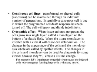 • Continuous cell lines: transformed, or altered, cells
(cancerous) can be maintained through an indefinite
number of generations. Essentially a cancerous cell is one
in which the programmed cell death response has been
turned off. The cell will grow and divide indefinitely.
• Cytopathic effect: When tissue cultures are grown, the
cells grow in a single layer, called a monolayer, on the
bottom of a plastic flask. When the tissue monolayer is
infected with a virus it will cause cell deterioration. The
changes in the appearance of the cells and the monolayer
as a whole are called cytopathic effects. The changes in
the cells and monolayer can be used for diagnosis for some
viruses because they will create a distinct change.
– For example, RSV (respiratory syncytial virus) causes the infected
cells to join together forming large cells with many nuclei.
 