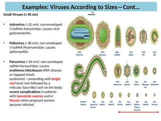 Comprehensive Medical Virology: Virus Structure, Classification, and ...