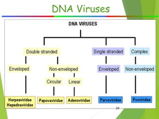 classification of virus and basic terms | PPT