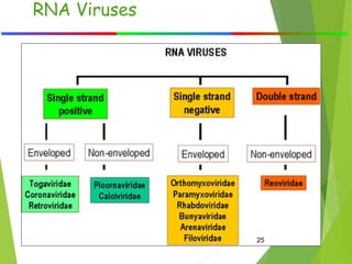 classification of virus and basic terms | PPT