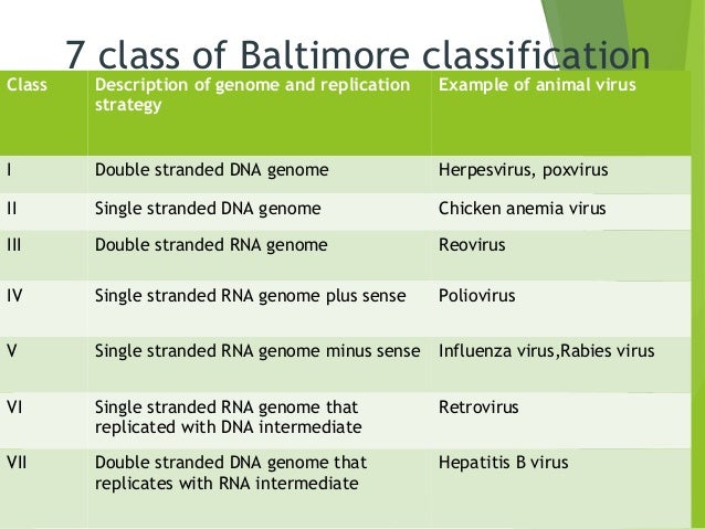 Classification Of Virus And Basic Terms