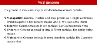 Viral genome
The genome in some cases may be divided into two or more particles
Monopartite: Genome/ Nucleic acid may present as a single continuous
strand in a particle. Ex: Tobacco mosaic virus (TMV, size 300 x 18nm)
Bipartite: Genome enclosed in two particles. Ex: Cowpea mosaic virus
Tripartite: Genome enclosed in three different particles. Ex: Barley stripe
mosaic
Multipartite: Genome enclosed in more than three particles Ex: Cucumber
mosaic virus
 