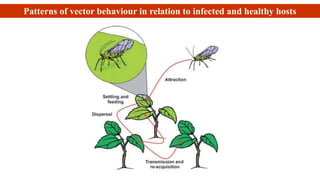 Patterns of vector behaviour in relation to infected and healthy hosts
 