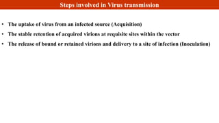 Steps involved in Virus transmission
• The uptake of virus from an infected source (Acquisition)
• The stable retention of acquired virions at requisite sites within the vector
• The release of bound or retained virions and delivery to a site of infection (Inoculation)
 