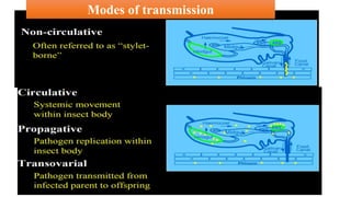 Modes of transmission
 