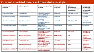 Virus and associated vectors and transmission strategies
 