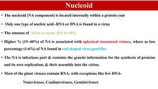 Nucleoid
• The nucleoid (NA component) is located internally within a protein coat
• Only one type of nucleic acid -RNA or DNA is found in a virus
• The amount of NA in a virion -5% to 40%.
• Higher % (15–40%) of NA is associated with spherical structured viruses, where as less
percentage (1-6%) of NA found in rod shaped virus particles.
• The NA is infectious part & contains the genetic information for the synthesis of proteins
and its own replication; & their assembly into the virion.
• Most of the plant viruses contain RNA, with exceptions like few DNA-
Nanoviruses, Caulimoviruses, Geminiviruses
 