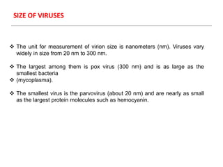  The unit for measurement of virion size is nanometers (nm). Viruses vary
widely in size from 20 nm to 300 nm.
 The largest among them is pox virus (300 nm) and is as large as the
smallest bacteria
 (mycoplasma).
 The smallest virus is the parvovirus (about 20 nm) and are nearly as small
as the largest protein molecules such as hemocyanin.
SIZE OF VIRUSES
 