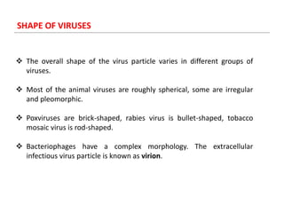  The overall shape of the virus particle varies in different groups of
viruses.
 Most of the animal viruses are roughly spherical, some are irregular
and pleomorphic.
 Poxviruses are brick-shaped, rabies virus is bullet-shaped, tobacco
mosaic virus is rod-shaped.
 Bacteriophages have a complex morphology. The extracellular
infectious virus particle is known as virion.
SHAPE OF VIRUSES
 