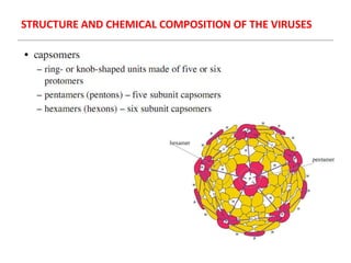 STRUCTURE AND CHEMICAL COMPOSITION OF THE VIRUSES
 