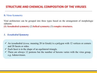 B. Virus Symmetry
Viral architecture can be grouped into three types based on the arrangement of morphologic
subunits:
(1) Icosahedral symmetry (2) helical symmetry (3) complex structures.
1. Icosahedral Symmetry
 An icosahedral (icosa, meaning 20 in Greek) is a polygon with 12 vertices or corners
and 20 facets or sides.
 Each facet is in the shape of an equilateral triangle.
 There are always 12 pentons but the number of hexons varies with the virus group,
e.g. Adenoviruses.
STRUCTURE AND CHEMICAL COMPOSITION OF THE VIRUSES
 