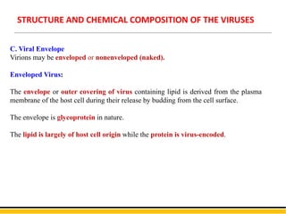 C. Viral Envelope
Virions may be enveloped or nonenveloped (naked).
Enveloped Virus:
The envelope or outer covering of virus containing lipid is derived from the plasma
membrane of the host cell during their release by budding from the cell surface.
The envelope is glycoprotein in nature.
The lipid is largely of host cell origin while the protein is virus-encoded.
STRUCTURE AND CHEMICAL COMPOSITION OF THE VIRUSES
 