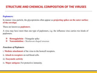 Peplomers:
In mature virus particle, the glycoproteins often appear as projecting spikes on the outer surface
of the envelope.
These are known as peplomers.
A virus may have more than one type of peplomers, e.g. the influenza virus carries two kinds of
peplomers.
 Hemagglutinin - Triangular spike
 Neuraminidase - Mushroom-shaped structure
Functions of Peplomers
i. Mediate attachment of the virus to the hostcell receptors.
ii. Attach to receptors on red blood cells.
iii. Enzymatic activity
iv. Major antigens: For protective immunity.
STRUCTURE AND CHEMICAL COMPOSITION OF THE VIRUSES
 