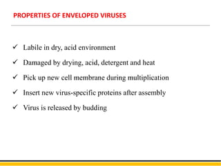 PROPERTIES OF ENVELOPED VIRUSES
 Labile in dry, acid environment
 Damaged by drying, acid, detergent and heat
 Pick up new cell membrane during multiplication
 Insert new virus-specific proteins after assembly
 Virus is released by budding
 