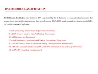 The Baltimore classification (first defined in 1971), developed by David Baltimore, is a virus classification system that
groups viruses into families, depending on their type of genome (DNA, RNA, single-stranded (ss), double-stranded (ds),
etc.) and their method of replication.
I: dsDNA viruses (e.g. Adenoviruses, Herpesviruses, Poxviruses)
II: ssDNA viruses (+ strand or "sense") DNA (e.g. Parvoviruses)
III: dsRNA viruses (e.g. Reoviruses)
IV: (+)ssRNA viruses (+ strand or sense) RNA (e.g. Picornaviruses, Togaviruses)
V: (−)ssRNA viruses (− strand or antisense) RNA (e.g. Orthomyxoviruses, Rhabdoviruses)
VI: ssRNA-RT viruses (+ strand or sense) RNA with DNA intermediate in life-cycle (e.g. Retroviruses)
VII: dsDNA-RT viruses (e.g. Hepadnaviruses)
BALTIMORE CLASSIFICATION
 