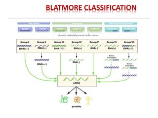 BLATMORE CLASSIFICATION
 