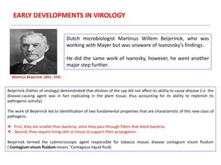 Martinus Beijerinck: 1851 -1931
Dutch microbiologist Martinus Willem Beijerinck, who was
working with Mayer but was unaware of Ivanovsky’s findings.
He did the same work of Ivanosky, however, he went another
major step further.
Beijerinck (Father of virology) demonstrated that dilution of the sap did not affect its ability to cause disease (i.e. the
disease-causing agent was in fact replicating in the plant tissue, thus accounting for its ability to replenish its
pathogenic activity).
The work of Beijerinck led to identification of two fundamental properties that are characteristic of this new class of
pathogens.
 First, they are smaller than bacteria, since they pass through filters that block bacteria.
 Second, they require living cells or tissue to support their propagation.
Beijerinck termed the submicroscopic agent responsible for tobacco mosaic disease contagium vivum fluidum
( Contagium vivum fluidum means "Contagious liquid fluid)
EARLY DEVELOPMENTS IN VIROLOGY
 