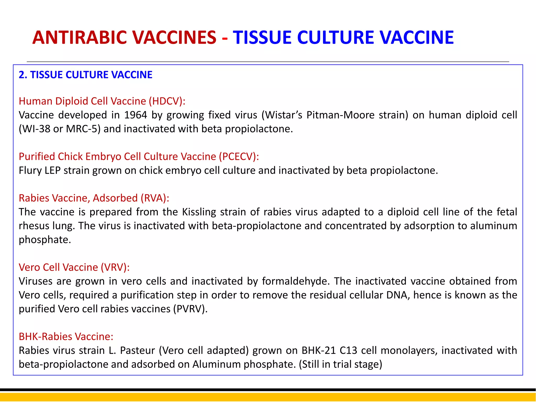 VIROLOGY - RABIES VIRUS | PPTX