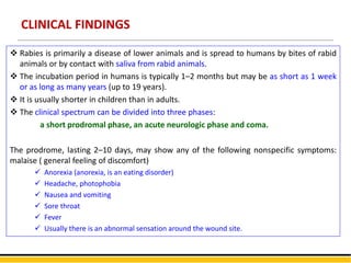 CLINICAL FINDINGS
 Rabies is primarily a disease of lower animals and is spread to humans by bites of rabid
animals or by contact with saliva from rabid animals.
 The incubation period in humans is typically 1–2 months but may be as short as 1 week
or as long as many years (up to 19 years).
 It is usually shorter in children than in adults.
 The clinical spectrum can be divided into three phases:
a short prodromal phase, an acute neurologic phase and coma.
The prodrome, lasting 2–10 days, may show any of the following nonspecific symptoms:
malaise ( general feeling of discomfort)
 Anorexia (anorexia, is an eating disorder)
 Headache, photophobia
 Nausea and vomiting
 Sore throat
 Fever
 Usually there is an abnormal sensation around the wound site.
 