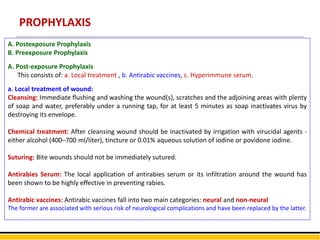 PROPHYLAXIS
A. Postexposure Prophylaxis
B. Preexposure Prophylaxis
A. Post-exposure Prophylaxis
This consists of: a. Local treatment , b. Antirabic vaccines, c. Hyperimmune serum.
a. Local treatment of wound:
Cleansing: Immediate flushing and washing the wound(s), scratches and the adjoining areas with plenty
of soap and water, preferably under a running tap, for at least 5 minutes as soap inactivates virus by
destroying its envelope.
Chemical treatment: After cleansing wound should be inactivated by irrigation with virucidal agents -
either alcohol (400–700 ml/liter), tincture or 0.01% aqueous solution of iodine or povidone iodine.
Suturing: Bite wounds should not be immediately sutured.
Antirabies Serum: The local application of antirabies serum or its infiltration around the wound has
been shown to be highly effective in preventing rabies.
Antirabic vaccines: Antirabic vaccines fall into two main categories: neural and non-neural
The former are associated with serious risk of neurological complications and have been replaced by the latter.
 