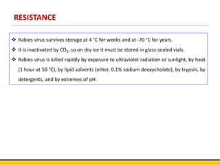 RESISTANCE
 Rabies virus survives storage at 4 °C for weeks and at -70 °C for years.
 It is inactivated by CO2, so on dry ice it must be stored in glass-sealed vials.
 Rabies virus is killed rapidly by exposure to ultraviolet radiation or sunlight, by heat
(1 hour at 50 °C), by lipid solvents (ether, 0.1% sodium deoxycholate), by trypsin, by
detergents, and by extremes of pH.
 