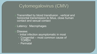 Mononucleosis – Fever, no swollen lymph nodes,
heterophile antibody negative
Organ specific diseases:
• Gastrointestinal...