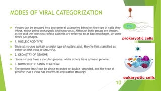 MODES OF VIRAL CATEGORIZATION
 Viruses can be grouped into two general categories based on the type of cells they
infect, those being prokaryotic and eukaryotic. Although both groups are viruses,
as we said the ones that infect bacteria are referred to as bacteriophages, or some
times just phages.
 1. NUCLEIC ACID TYPE
 Since all viruses contain a single type of nucleic acid, they’re first classified as
either an RNA virus or DNA virus.
 2. GEOMETRY OF GENOME
 Some viruses have a circular genome, while others have a linear genome.
 3. NUMBER OF STRANDS IN GENOME
 The genome itself can be single-stranded or double-stranded, and the type of
genome that a virus has informs its replication strategy.
10
 