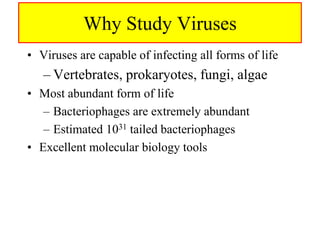 Why Study Viruses
• Viruses are capable of infecting all forms of life
– Vertebrates, prokaryotes, fungi, algae
• Most abundant form of life
– Bacteriophages are extremely abundant
– Estimated 1031 tailed bacteriophages
• Excellent molecular biology tools
 