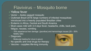 Yellow fever
 Vector – Aedes aegypti mosquito
 Outbreak Brazil 2018 /large numbers of infected mosquitoes
introduced into a heavily populated Brazilian cities
 Endemic in Africa, Central and South America
 Most cases mild with 3-4 days fever, headache, chills, back pain,
fatigue, nausea, vomiting
• 15% experience liver damage (jaundice) and hemorrhagic issues (20 – 50%
fatality rate)
 Diagnosis:
• Molecular testing for virus in serum
 No specific anti-viral drugs for therapy
 Vaccine – supplies life-long immunity
 