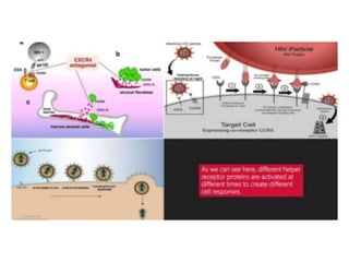 Viral pathogenesis ppt | PPTX