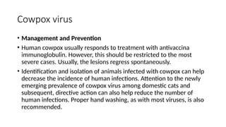 Comprehensive Overview of Varicella Zoster Virus and Related ...