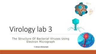 Virology lab 3
The Structure Of Bacterial Viruses Using
Electron Micrograph
T. Amani Alsharidah
 