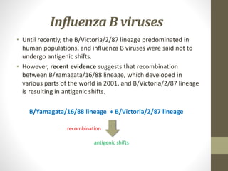 Influenza B viruses
• Until recently, the B/Victoria/2/87 lineage predominated in
human populations, and influenza B viruses were said not to
undergo antigenic shifts.
• However, recent evidence suggests that recombination
between B/Yamagata/16/88 lineage, which developed in
various parts of the world in 2001, and B/Victoria/2/87 lineage
is resulting in antigenic shifts.
B/Yamagata/16/88 lineage + B/Victoria/2/87 lineage
recombination
antigenic shifts
 