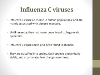 Influenza C viruses
• Influenza C viruses circulate in human populations, and are
mainly associated with disease in people.
• Until recently, they had never been linked to large-scale
epidemics.
• Influenza C viruses have also been found in animals.
• They are classified into strains. Each strain is antigenically
stable, and accumulates few changes over time.
 